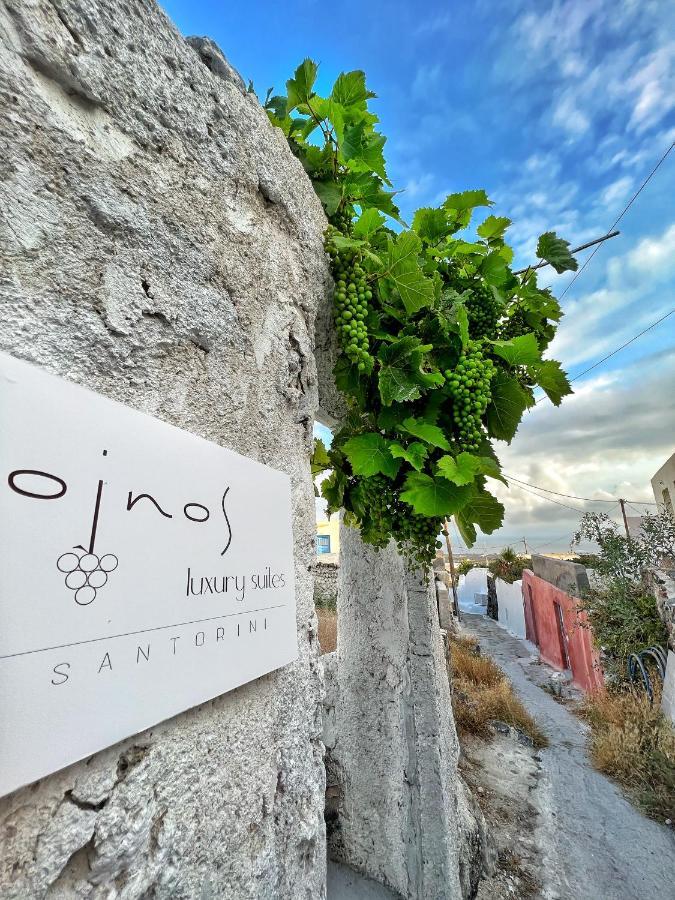 Oinos Luxury Suites Foinikia  Ngoại thất bức ảnh